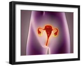 Anatomy of Female Body with Uterus-null-Framed Art Print