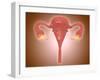 Anatomy of Female Uterus with Ovaries-null-Framed Art Print