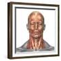 Anatomy of Human Face And Neck Muscles, Front View-Stocktrek Images-Framed Photographic Print