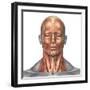 Anatomy of Human Face And Neck Muscles, Front View-Stocktrek Images-Framed Photographic Print