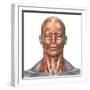 Anatomy of Human Face And Neck Muscles, Front View-Stocktrek Images-Framed Photographic Print