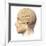 Anatomy of Human Head with Skull and Brain Superimposed-null-Framed Art Print