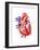 Anatomy of Human Heart, Cross Section-null-Framed Art Print