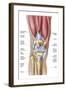 Anatomy of Human Knee Joint-null-Framed Art Print