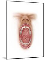 Anatomy of Human Mouth Cavity-null-Mounted Art Print