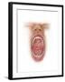 Anatomy of Human Mouth Cavity-null-Framed Art Print