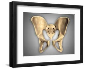 Anatomy of Human Pelvic Bone-null-Framed Art Print