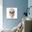 Anatomy of Human Skull, Cutaway View with Half Brain Showing-null-Art Print displayed on a wall