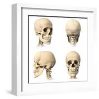 Anatomy of Human Skull from Different Angles-null-Framed Art Print