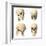 Anatomy of Human Skull from Different Angles-null-Framed Art Print