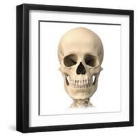 Anatomy of Human Skull, Front View-null-Framed Art Print