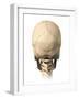 Anatomy of Human Skull, Rear View-null-Framed Art Print