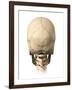 Anatomy of Human Skull, Rear View-null-Framed Art Print