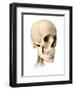 Anatomy of Human Skull, Side View-null-Framed Art Print