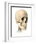 Anatomy of Human Skull, Side View-null-Framed Art Print