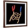 Anatomy of Human Veins and Arteries, Black Background-null-Framed Art Print