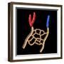 Anatomy of Human Veins and Arteries, Black Background-null-Framed Art Print