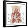 Anatomy of Iliopsoa, also known as the Dorsal Hip Muscles-null-Framed Art Print