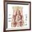 Anatomy of Iliopsoa, also known as the Dorsal Hip Muscles-null-Framed Premium Giclee Print