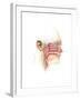 Anatomy of Inner Ear and Sinuses-null-Framed Art Print