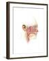 Anatomy of Inner Ear and Sinuses-null-Framed Art Print