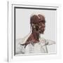 Anatomy of Male Facial and Neck Muscles, Front View-null-Framed Art Print