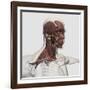 Anatomy of Male Facial and Neck Muscles, Front View-null-Framed Art Print