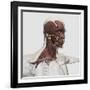 Anatomy of Male Facial and Neck Muscles, Front View-null-Framed Art Print