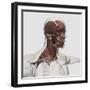 Anatomy of Male Facial and Neck Muscles, Front View-null-Framed Art Print