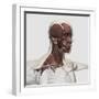 Anatomy of Male Facial and Neck Muscles, Front View-null-Framed Art Print