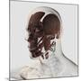 Anatomy of Male Facial Muscles, Side View-null-Mounted Art Print