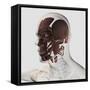 Anatomy of Male Facial Muscles, Side View-null-Framed Stretched Canvas
