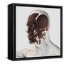 Anatomy of Male Facial Muscles, Side View-null-Framed Stretched Canvas