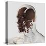 Anatomy of Male Facial Muscles, Side View-null-Stretched Canvas
