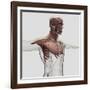 Anatomy of Male Muscles in Upper Body, Anterior View-null-Framed Art Print