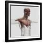 Anatomy of Male Muscles in Upper Body, Anterior View-null-Framed Art Print