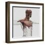 Anatomy of Male Muscles in Upper Body, Anterior View-null-Framed Art Print