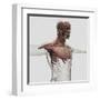 Anatomy of Male Muscles in Upper Body, Anterior View-null-Framed Art Print