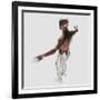 Anatomy of Male Muscles in Upper Body, Posterior View-null-Framed Art Print