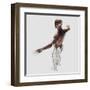 Anatomy of Male Muscles in Upper Body, Posterior View-null-Framed Art Print