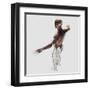 Anatomy of Male Muscles in Upper Body, Posterior View-null-Framed Art Print