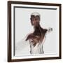 Anatomy of Male Muscles in Upper Body, Posterior View-null-Framed Art Print