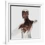 Anatomy of Male Muscles in Upper Body, Posterior View-null-Framed Art Print