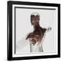 Anatomy of Male Muscles in Upper Body, Posterior View-null-Framed Art Print