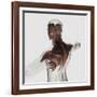 Anatomy of Male Muscles in Upper Body, Posterior View-null-Framed Art Print