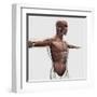 Anatomy of Male Muscles in Upper Body, Side View-null-Framed Art Print