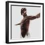 Anatomy of Male Muscles in Upper Body, Side View-null-Framed Art Print