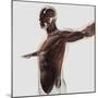 Anatomy of Male Muscles in Upper Body, Side View-null-Mounted Art Print