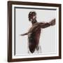 Anatomy of Male Muscles in Upper Body, Side View-null-Framed Art Print