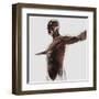 Anatomy of Male Muscles in Upper Body, Side View-null-Framed Art Print